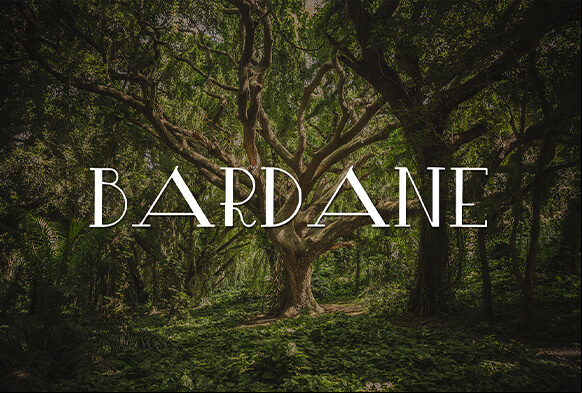 gratis font photoshop