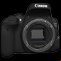canon rebel t7i camera for astrophotography