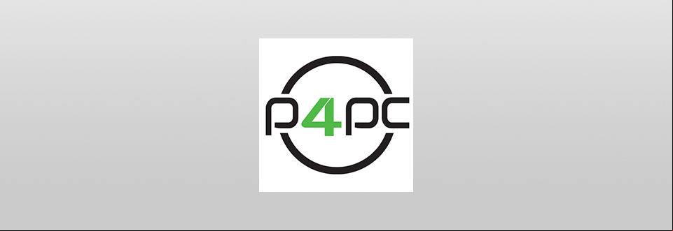 program4pc convertidor de video profesional logo